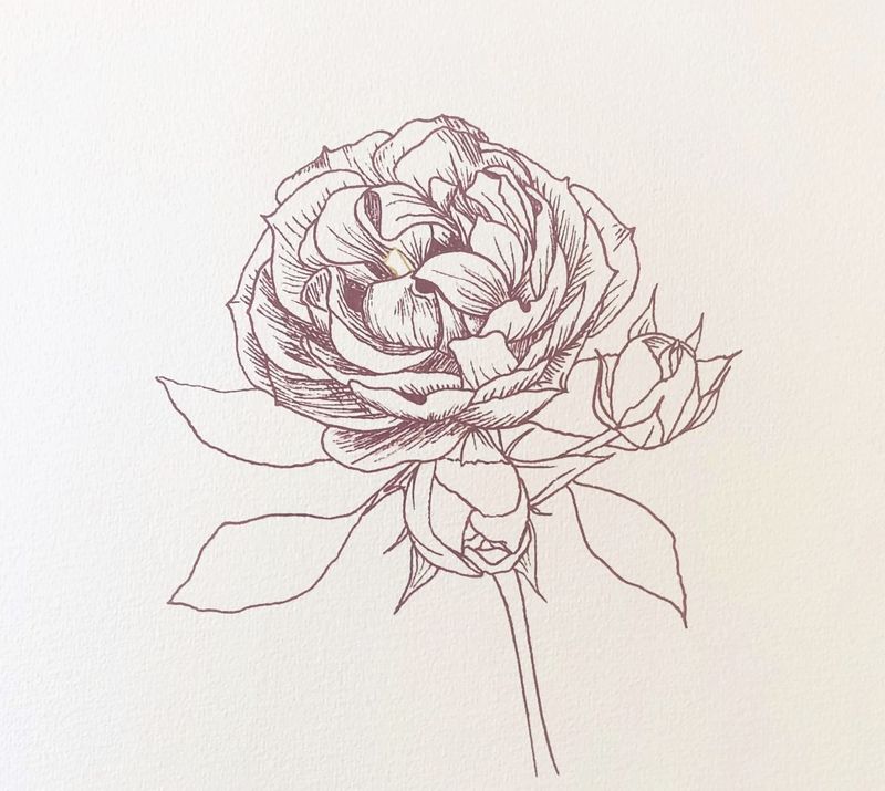 line art process