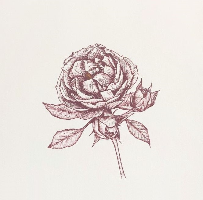 line art