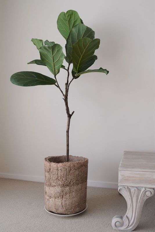 tinted hypertufa planter