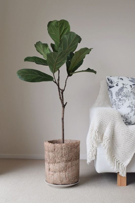 tinted hypertufa planter