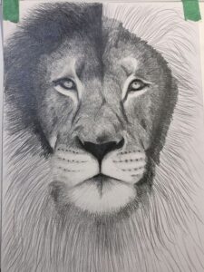 sketch